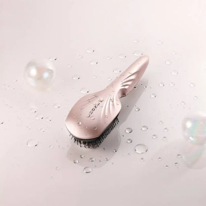 CLIONE SPA Brush, Plamine