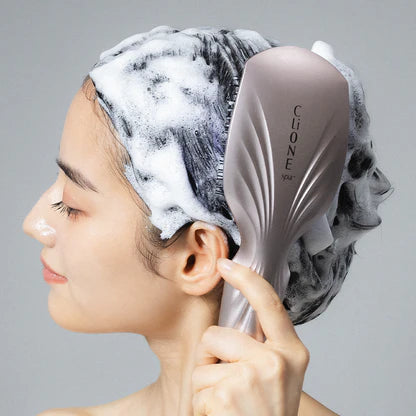 CLIONE SPA, Brush, Plamine